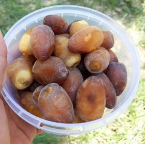 قیمت خرما عسلی عمده در فروشگاه اینترنتی