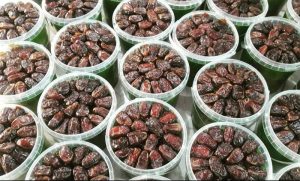 نمایندگی پخش انواع خرما کبکاب صادراتی بوشهر