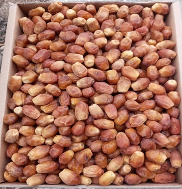 فروش عمده خرما زاهدی صادراتی