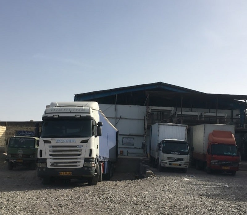 ارسال خرما به اروپا صادراتی